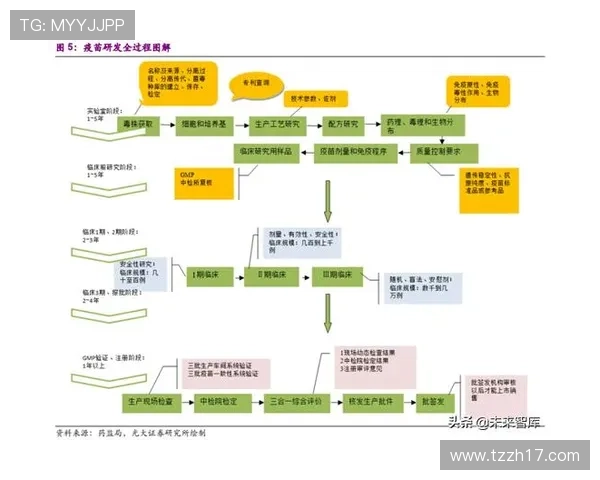 杭州篮球队技术分析与战术创新的深度探讨与展望