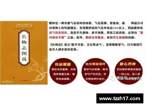 深度剖析七十球员资料：详尽解读背后的故事